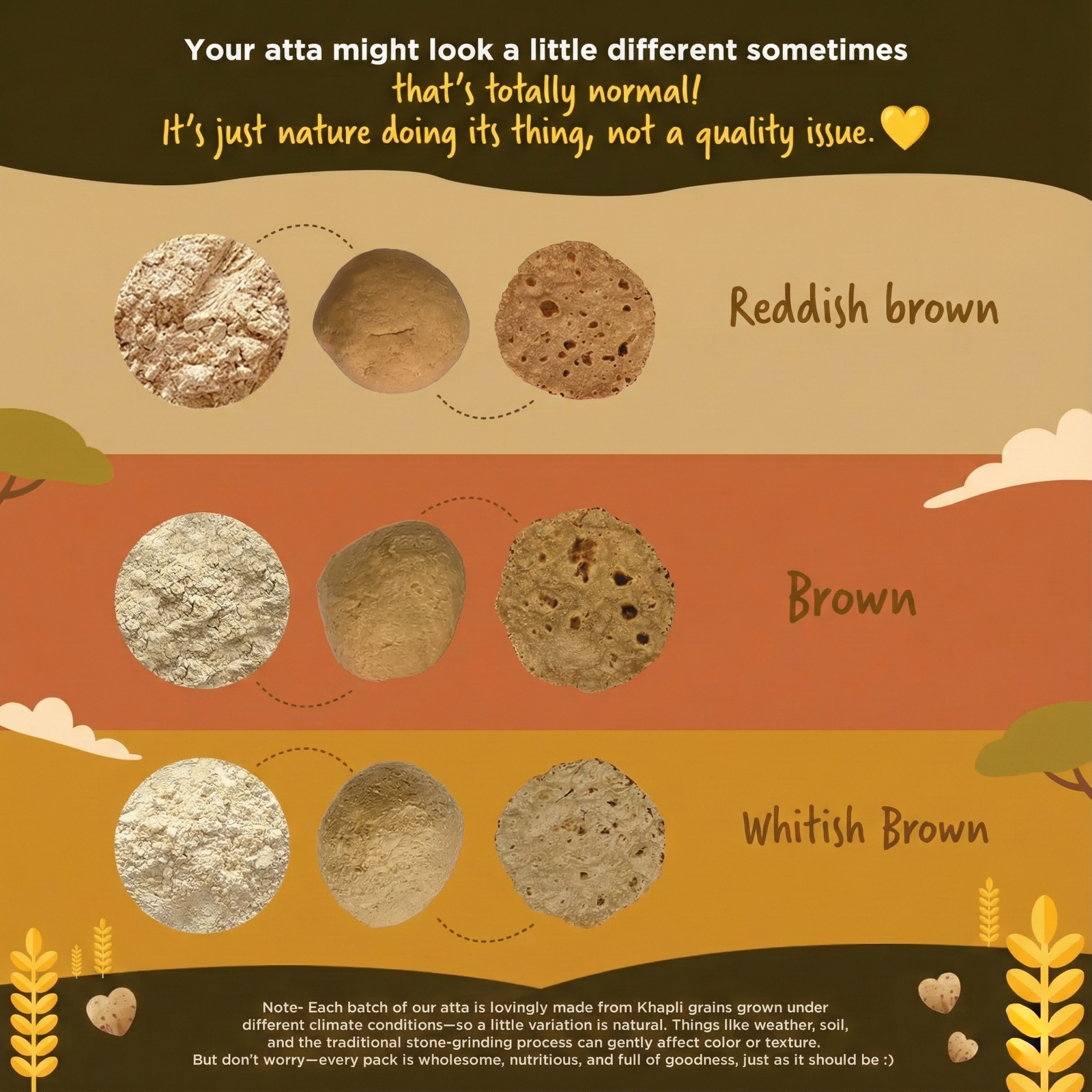 Hungry Gujju Wellness Atta – 100% Gluten-Free | Low GI Flour for Diabetes & Weight Management (1 Kg) - Image 4